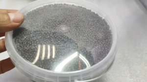 Корм для средней и крупной рыбы Biomar INICIO Plus, 2 мм, 1 литр