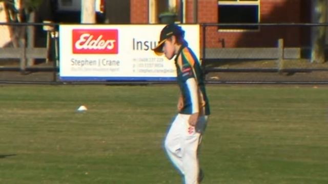 Jacks Cricket смотреть онлайн