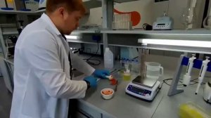 Online laboratory "Выделяем ДНК из растительной клетки"