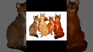 Коты воители клип ~[ Мальчик на девятке] ~