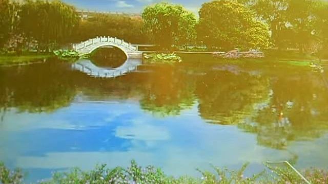 ловля белого амура смотреть онлайн