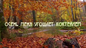 ОСЕНЬ МЕНЯ УГОЩАЕТ КОКТЕЙЛЕМ. Любовь Великанова.