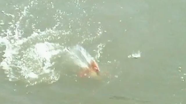 Рыбалка 5.avi смотреть онлайн