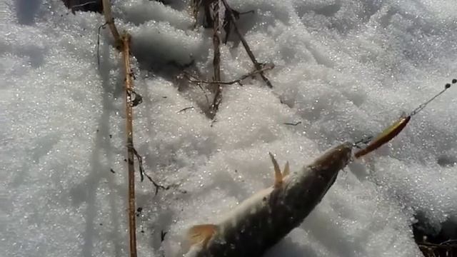 Щука! смотреть онлайн