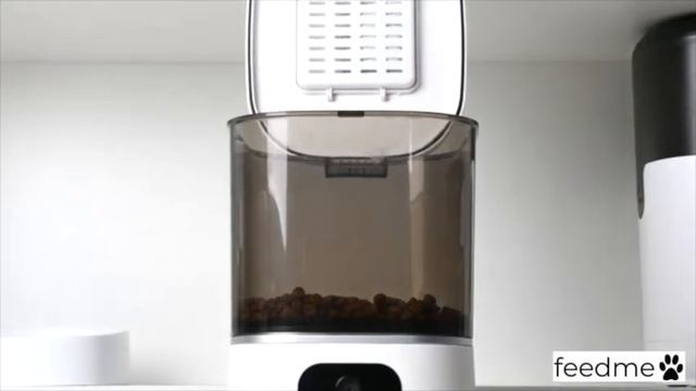 feed me automatic pet feeder