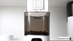 feed me automatic pet feeder