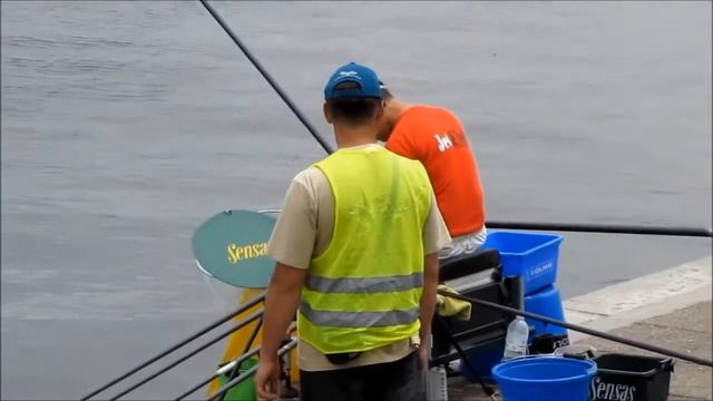 Соревнования по рыбной ловле смотреть онлайн
