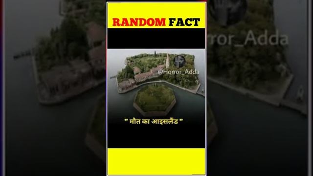 चीटियों का चेहरा Microscope🔬से कैसा दिखता है | Amazing facts about world in hindi | Random Fact смотреть онлайн