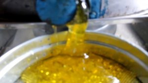 Пчелы  и мед