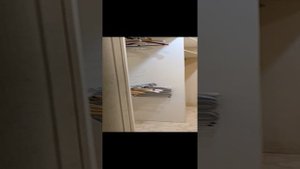 1000014219.mp4