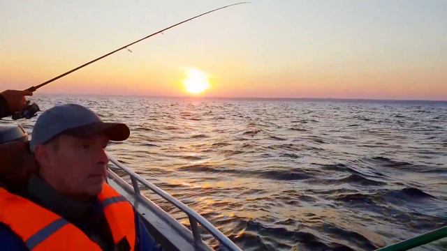 Клевое место смотреть онлайн