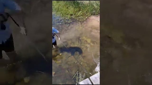 29 октября 2023 г. смотреть онлайн