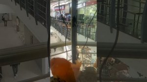 Я Попался На Крючёк Как Рыбка.