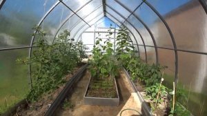 Дачный влог/29 июня