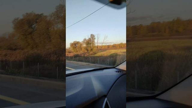 Выходные на даче 2022