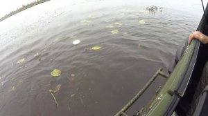 Болото Оршинский мох, на вездеходе Шерп, коп, рыбалка ч11