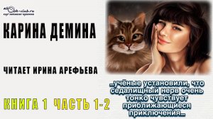 01.01-2 Карина Демина - Провинциальная история. Книга 1. Часть 1-2.