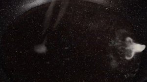 Как приготовить корюшку