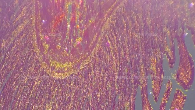 Isolated macro footage of smooth human muscle under microscope 100x with cross light смотреть онлайн