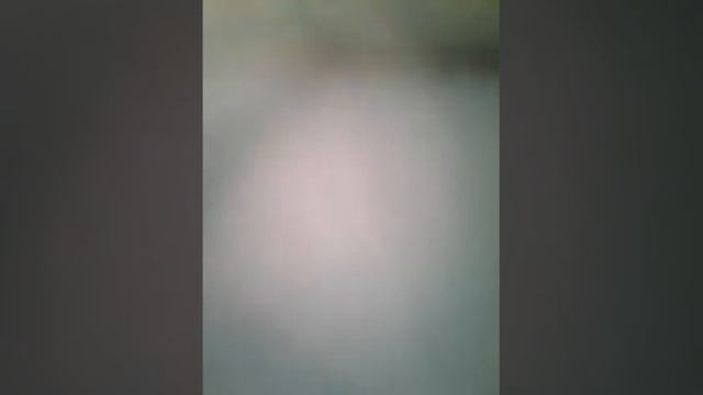 Мои очки смотреть онлайн