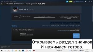 Как дёшего повысить уровень стим