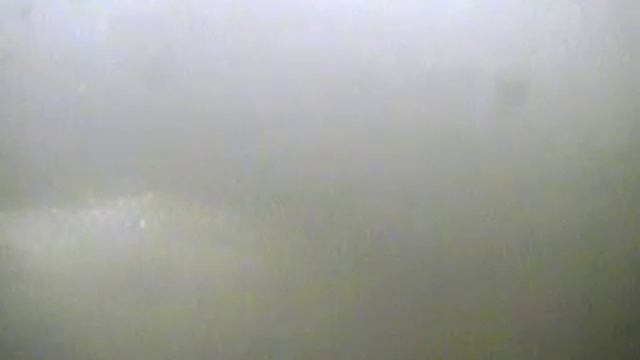 2017 03 26 20 40 11 Клев на дне. Качан