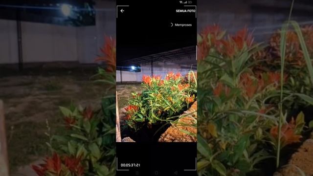 Setting GCAM BURIAL 7.2 VD terbaik🤤🤩 смотреть онлайн