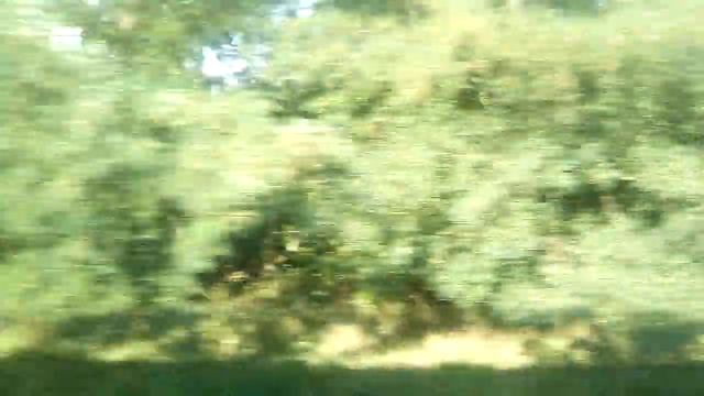 Поезд.Плацкарт.Вид с окна 2022/Train.Reserve seat.View from the window.(8.2022)