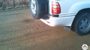 Охота в Приморском крае 2020. Фазан. Часть 2. Охота в 25 регионе ФАЗАН 2020  ЧАСТЬ 1