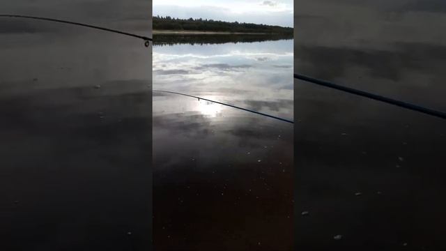 супер удочка смотреть онлайн