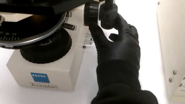 Zeiss Axioplan Fluorescence Phase Contrast Microscope [BOSTONIND] - 15188 смотреть онлайн