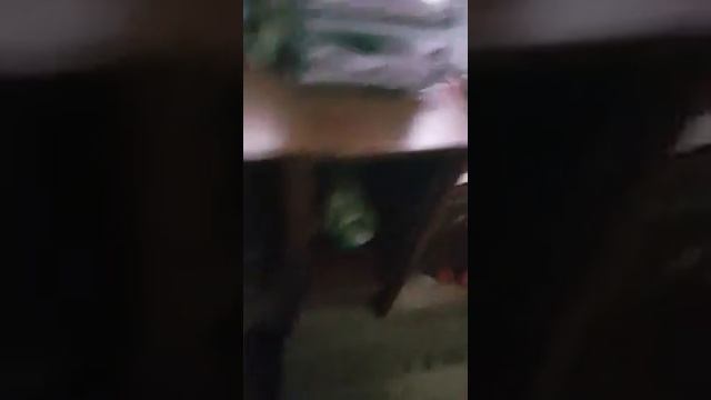 Самые клёвые ролики Абраша смотреть онлайн