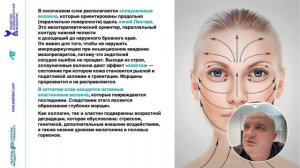 Гиалуроновая кислота. Коллаген. Эластин. Гиподерма. Жировые пакеты лица. SMAS