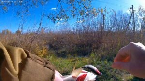 река Валуй ,г.Валуйки Белгородская область,поймал отпусти ..
