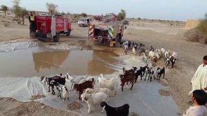 Cholistan Desert Rescue Team Visits Bahawalnagar - Review of Drought Arrangements