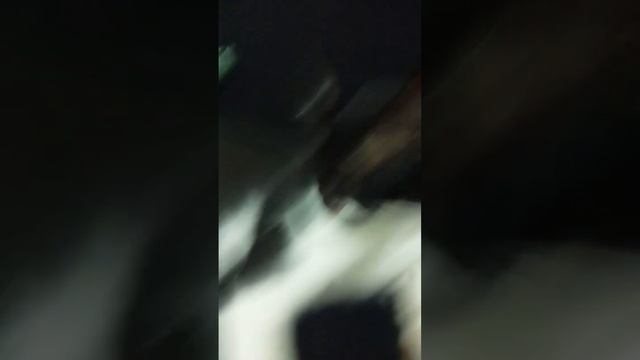 жмых смотреть онлайн