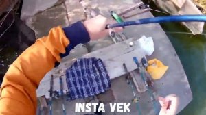 Ловля КАРАСЯ на пенопласт | Жор карася осенью | Крупный карась на корм