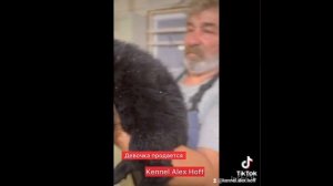 щенок чёрной немецкой овчарки.mp4