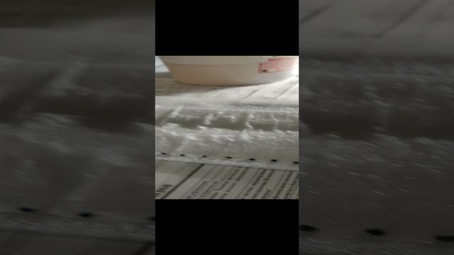 Эксибишен, посадка