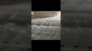 Эксибишен, посадка