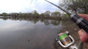 Neo Line  572 0.1-2 и Чебак. 07.05.2021