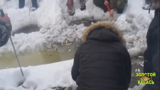 Приколы на рыбалке! Мега рыбалка!