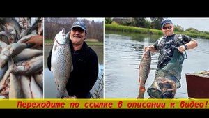 Лучший активатор клёва