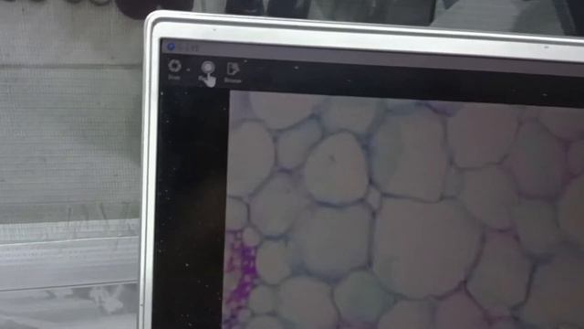 Mikroskop MultimediaMikroskop Digital Pengiriman ke SMA Garuda Cendikia Jakarta Selatan