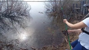 Первая Рыбалка 🎣 на Карася 🐟 в этом сезоне ! На разливе Исети , пруду весной . На удочку , на червя