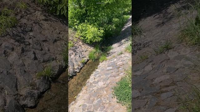 Как же красиво #земнойирий #коломенское #магическиекамни #голосововраг #местасилы