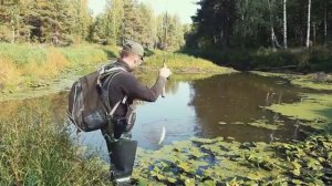 Ловля щуки на спиннинг воблерами на микро речке