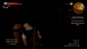 The Witcher 3. Путь Воина  (Серия 59)