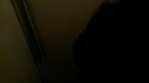 Электрический лифт V=0.71 м/с, грузоподъемность 320 кг (394)