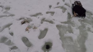 Первый лед 2023-2024.